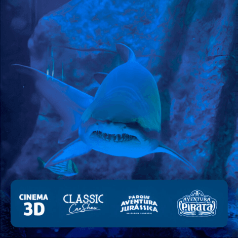 Oceanic Aquarium + 4 atrações